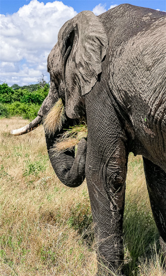 Botswana-L-122-Modifier.jpg