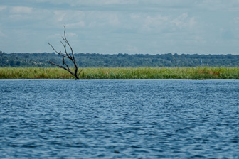 Botswana-L-140.jpg