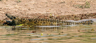 Botswana-L-178.jpg
