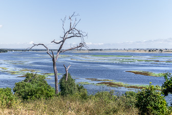 Botswana-L-77-Modifier.jpg