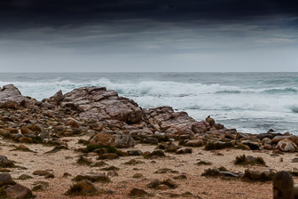 Cape-of-Good-Hope-C-8.jpg