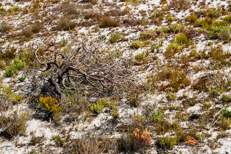 CapeTown-Cape-ofGood-Hope-L-4.jpg