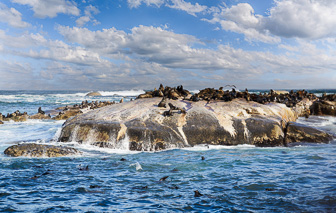 202607_Hout-Bay_South-Africa-Modifier.jpg