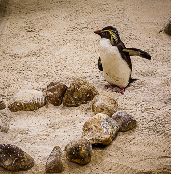 CapeTown-Aquarium-C-24.jpg