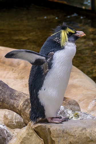 CapeTown-Aquarium-L-7.jpg