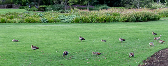 CapeTown-Kirstenbosch-C-21.jpg