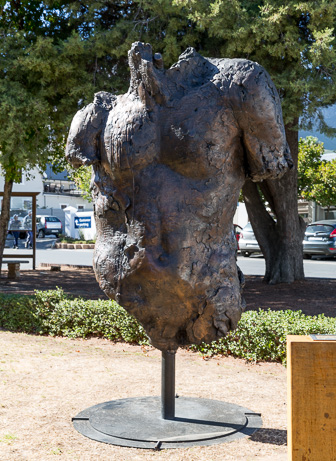 _S8B3686.jpg
