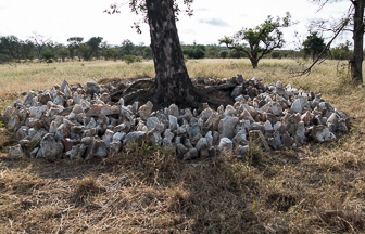 Makalali-L-82.jpg