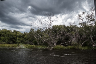Zambeze-L-5.jpg