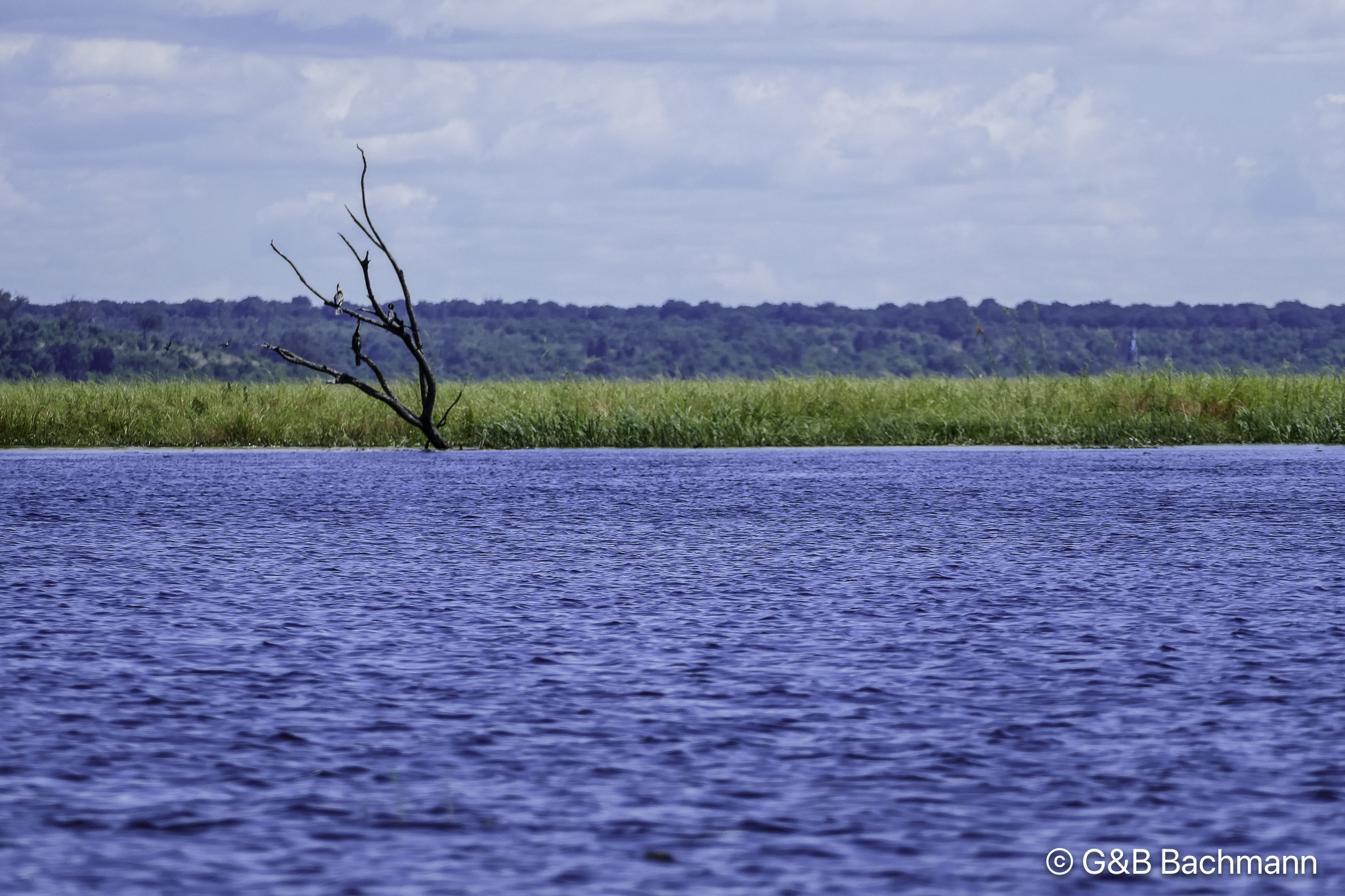 Botswana-L-140.jpg