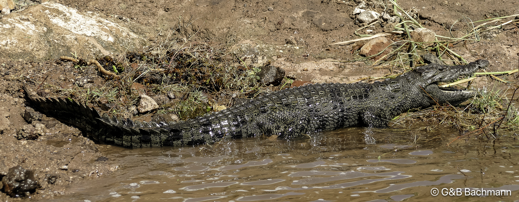 Botswana-L-149.jpg