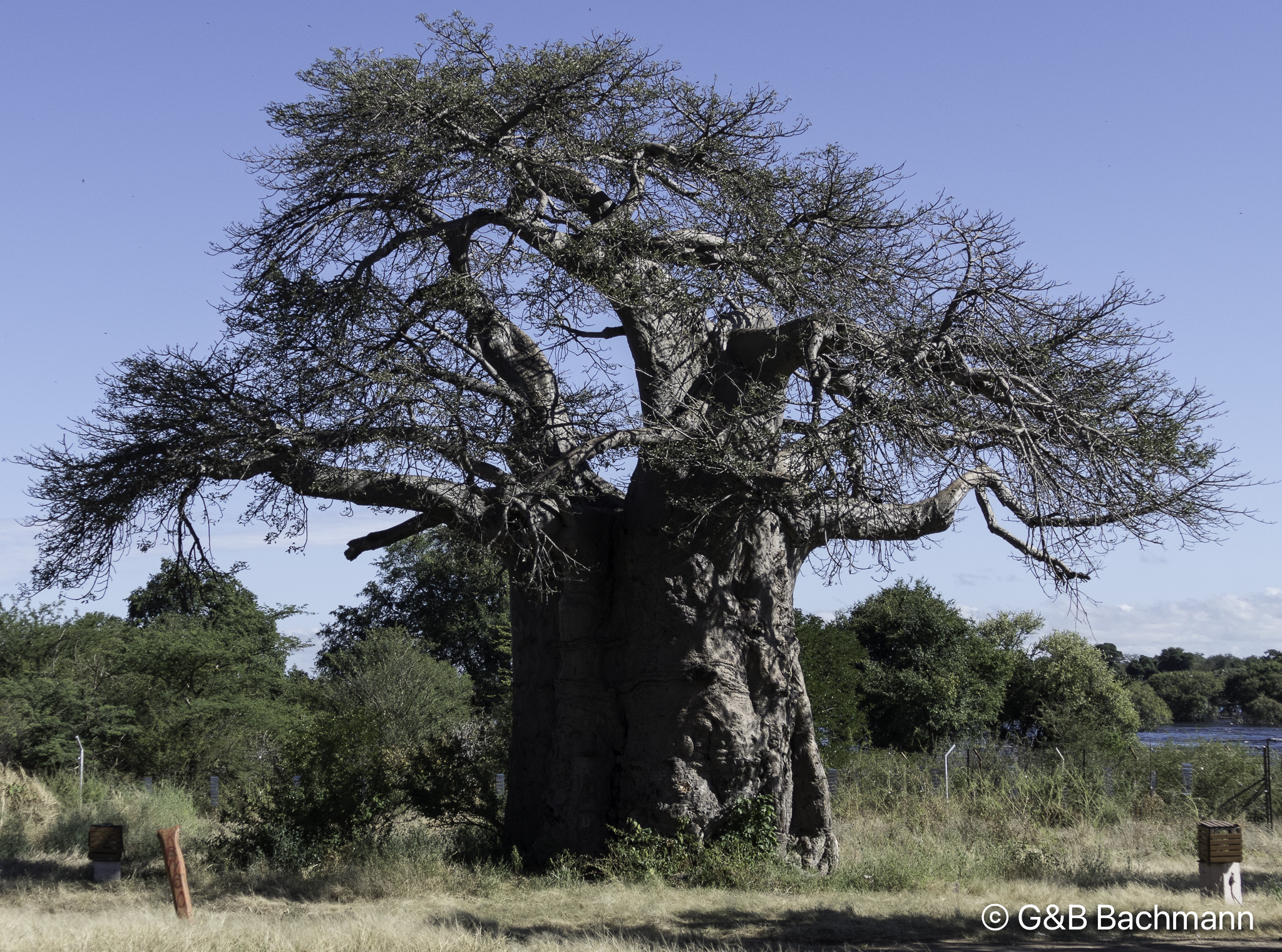 Botswana-L-2.jpg