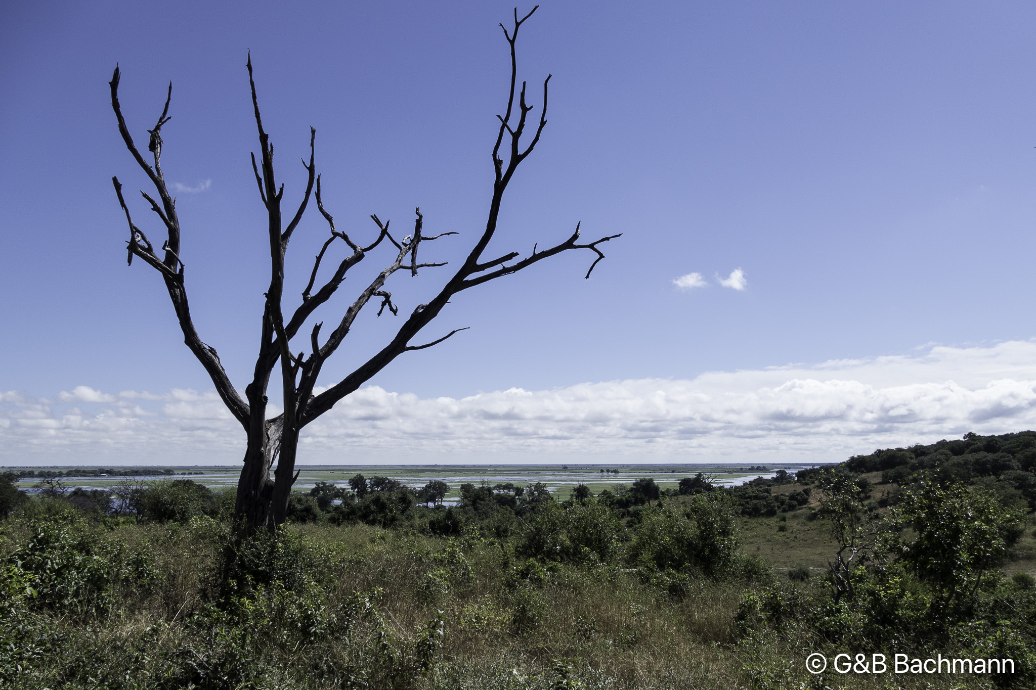 Botswana-L-28.jpg