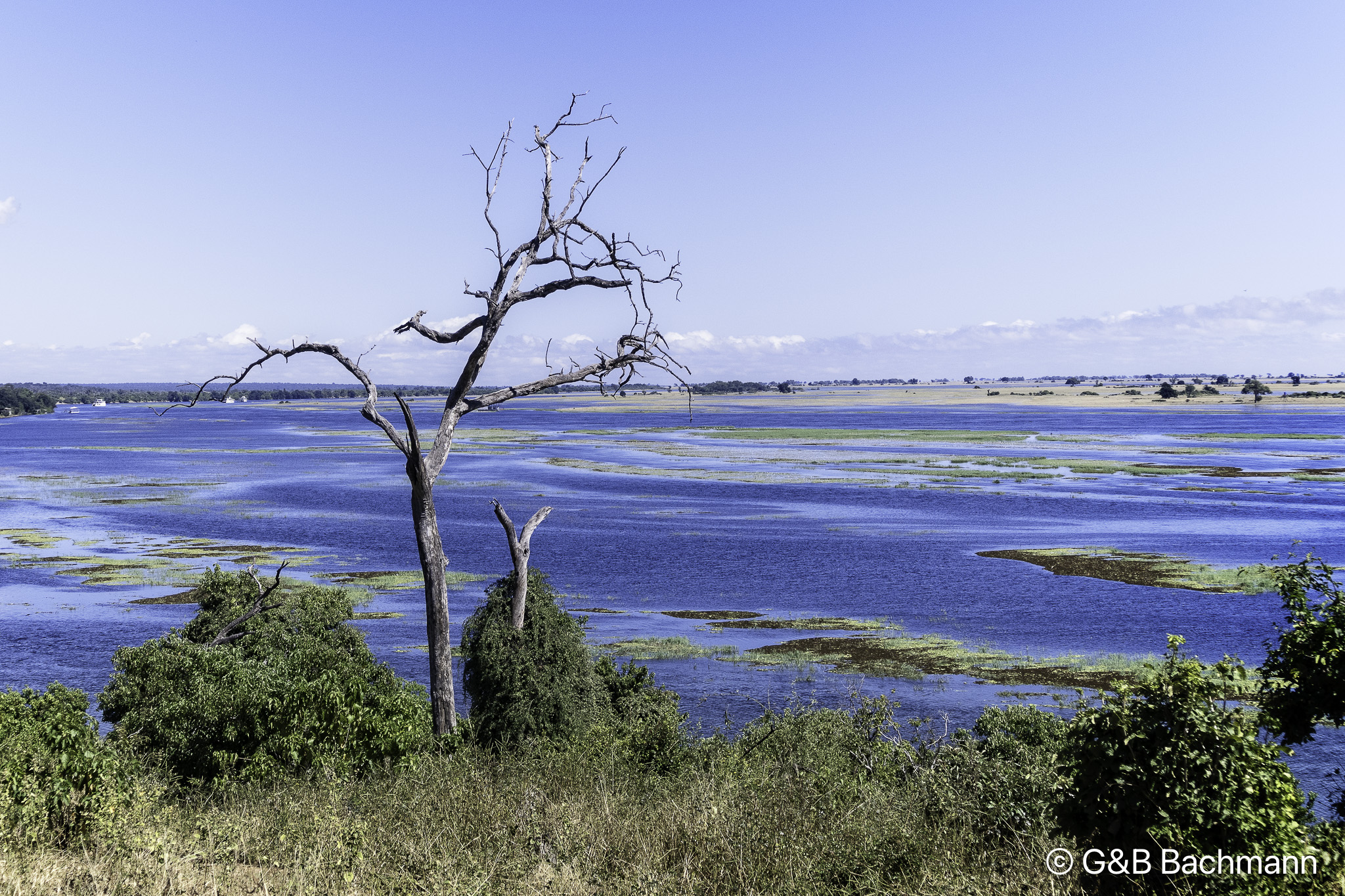 Botswana-L-77-Modifier.jpg