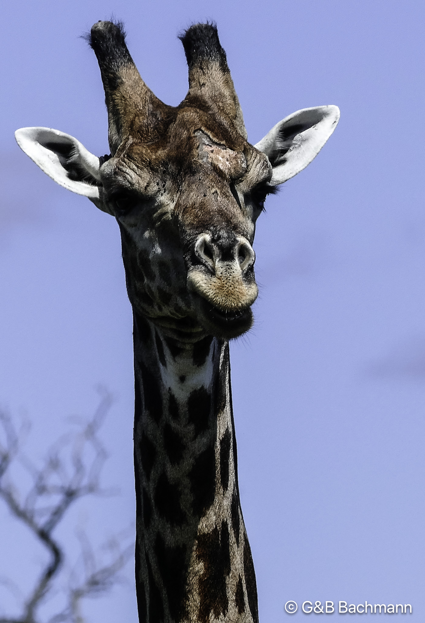 Botswana-L-96.jpg