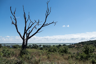 Botswana-L-28.jpg