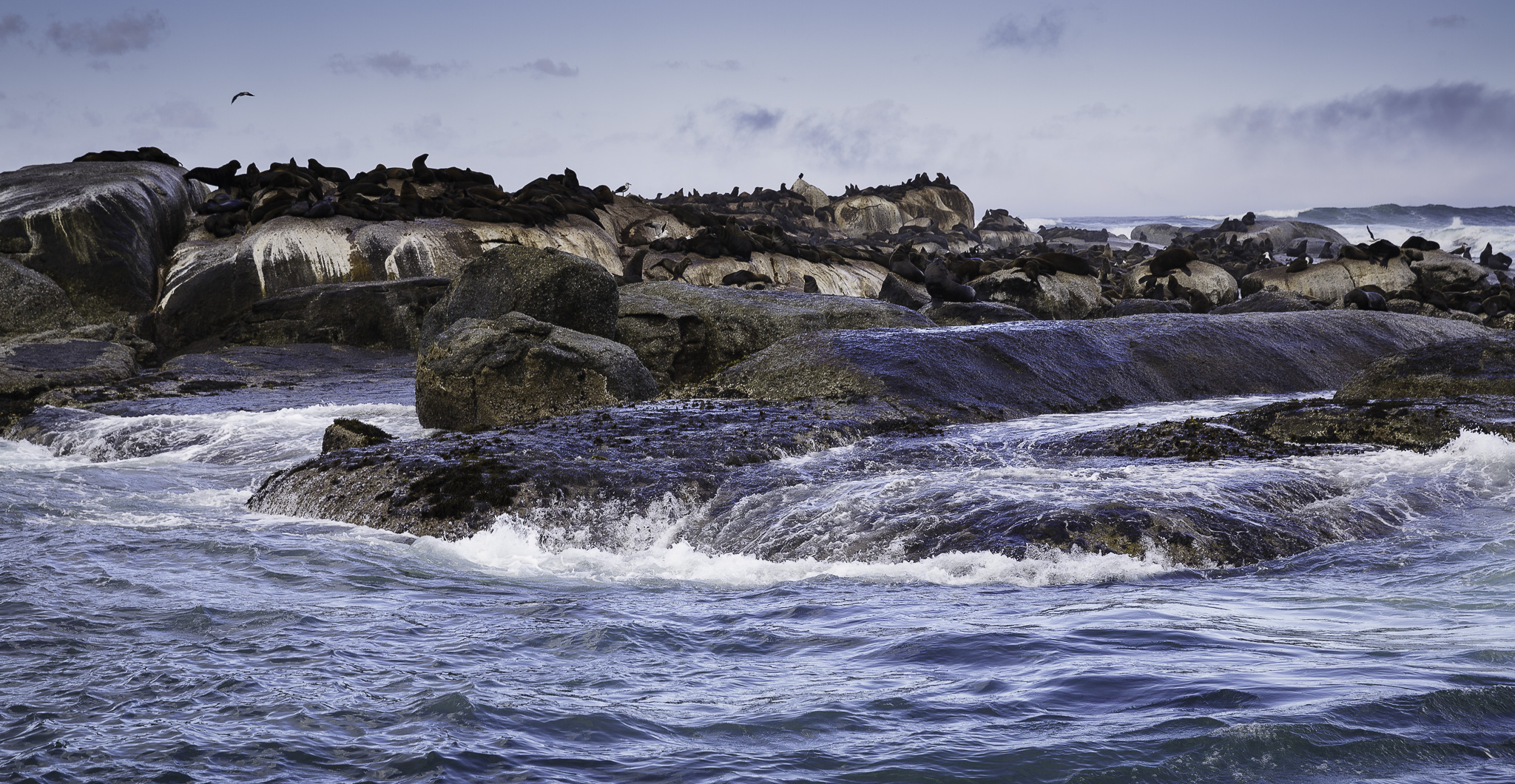 Cape-Town-Hout-Bay-C-17.jpg