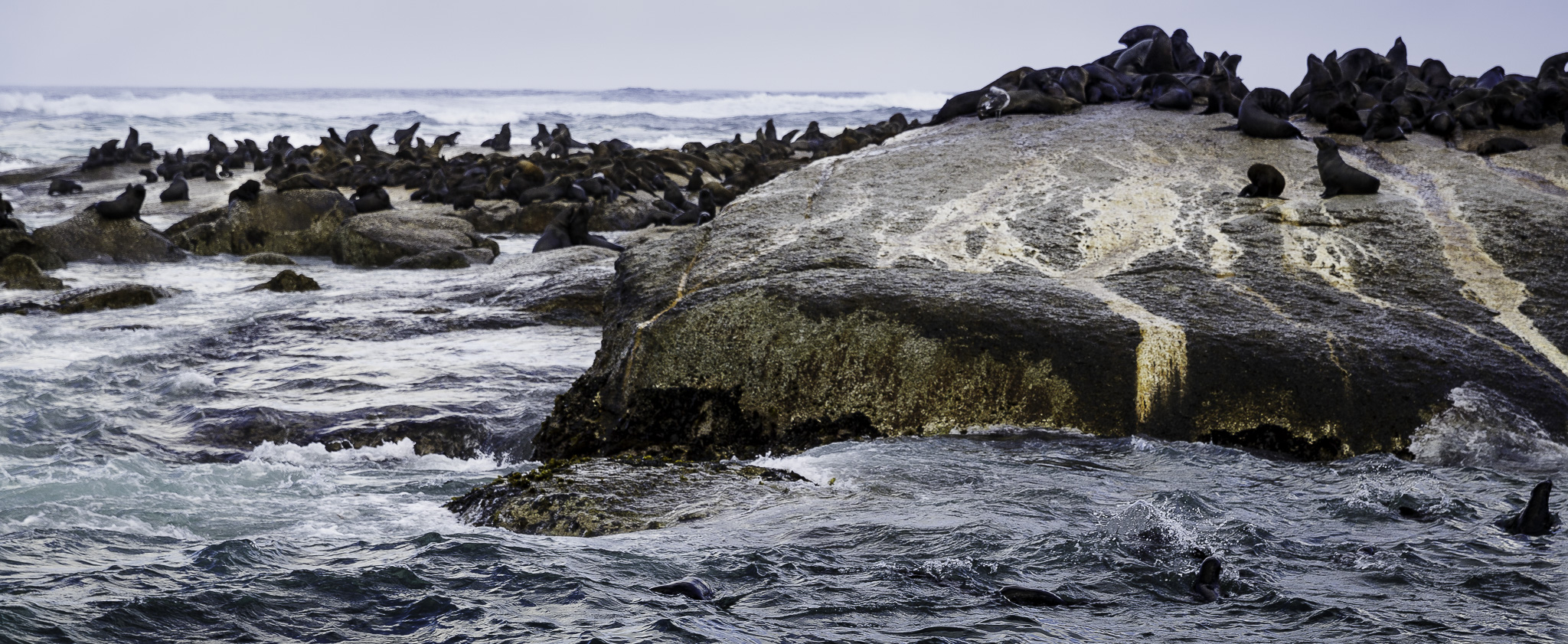 Cape-Town-Hout-Bay-C-18.jpg