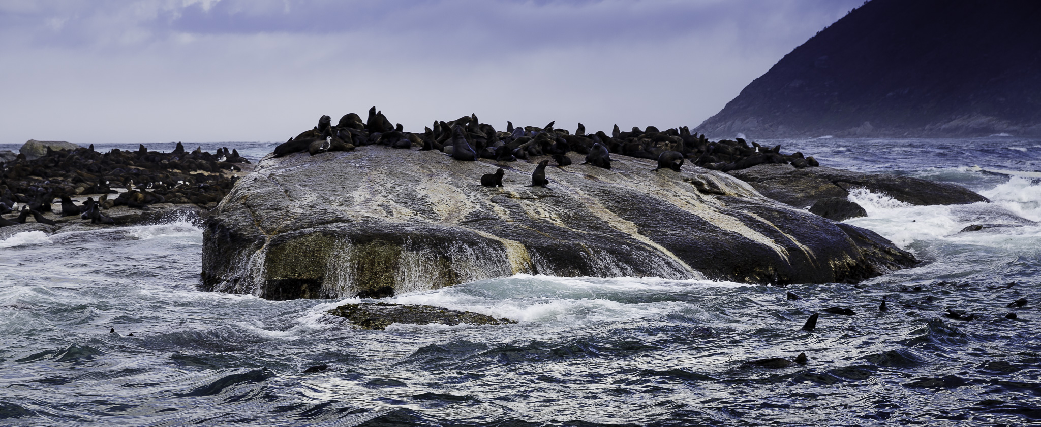 Cape-Town-Hout-Bay-C-22.jpg