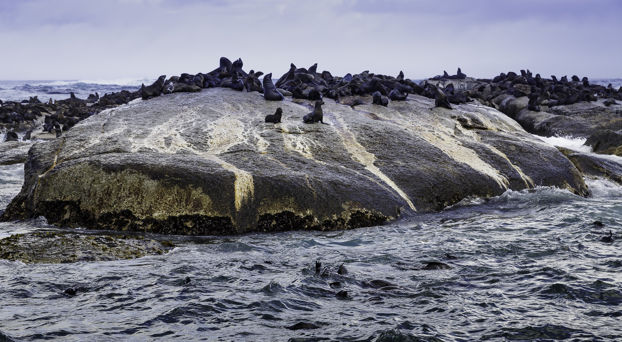 Cape-Town-Hout-Bay-C-26.jpg