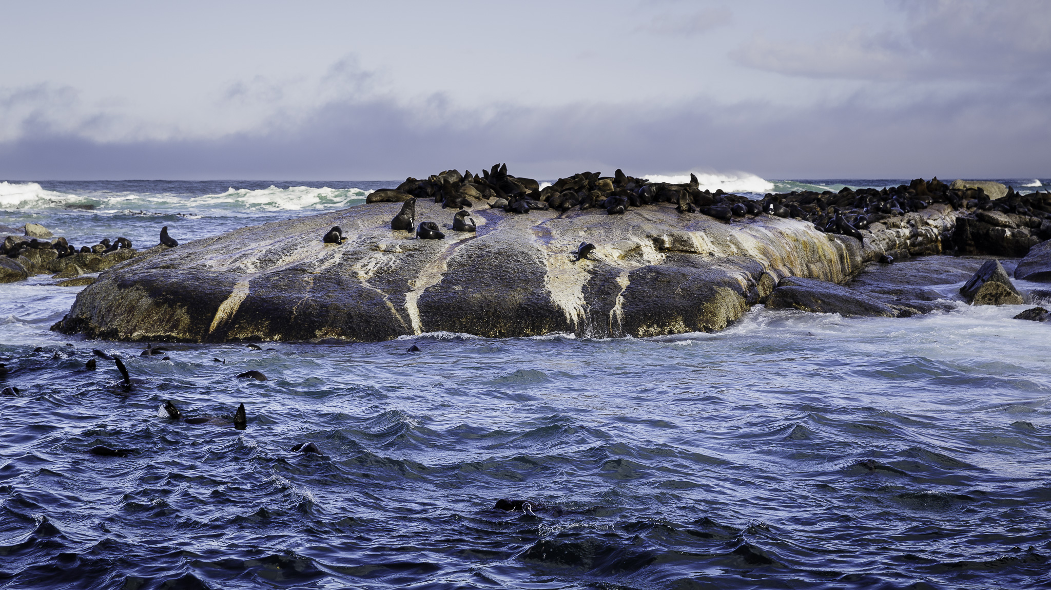 Cape-Town-Hout-Bay-C-40.jpg
