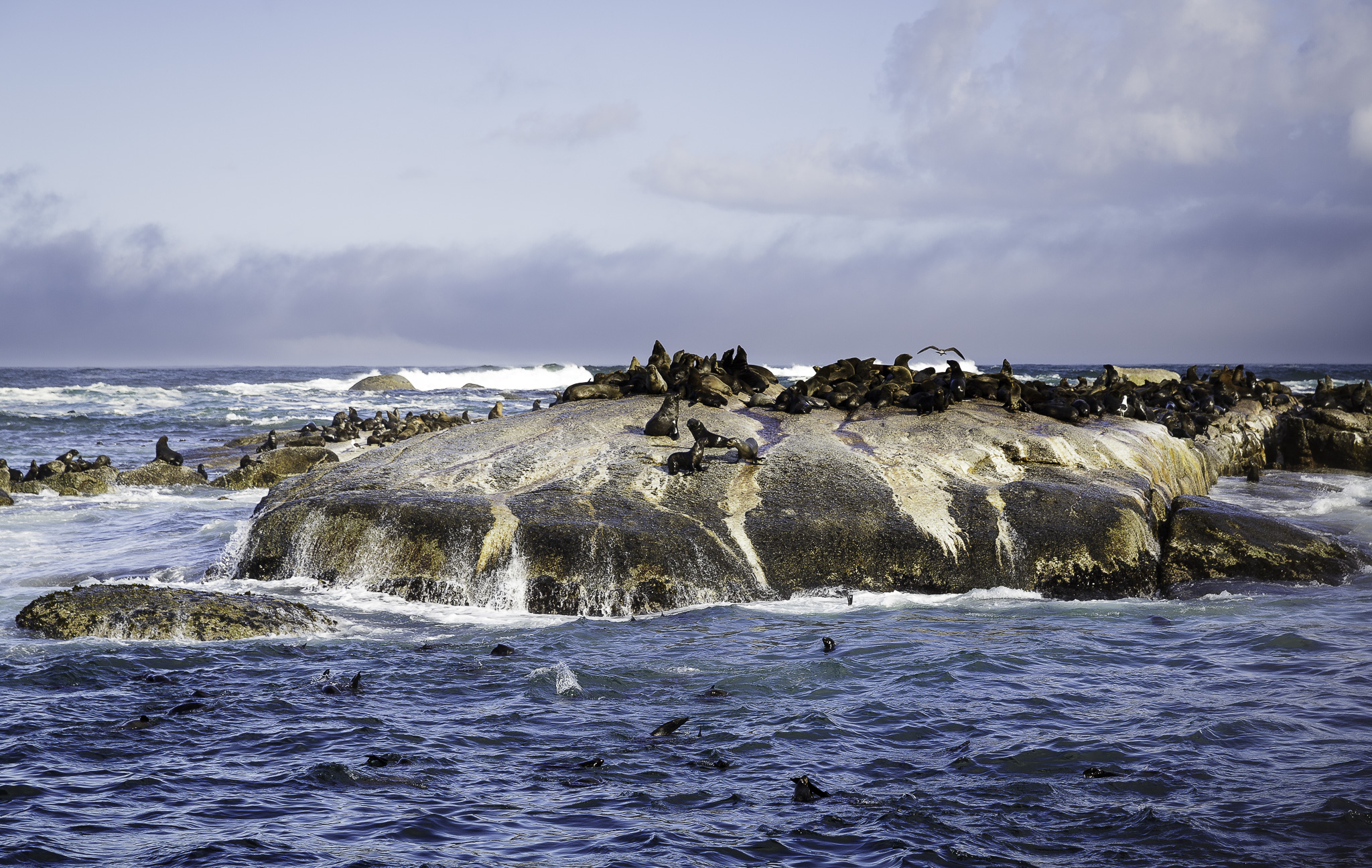 Cape-Town-Hout-Bay-C-42.jpg