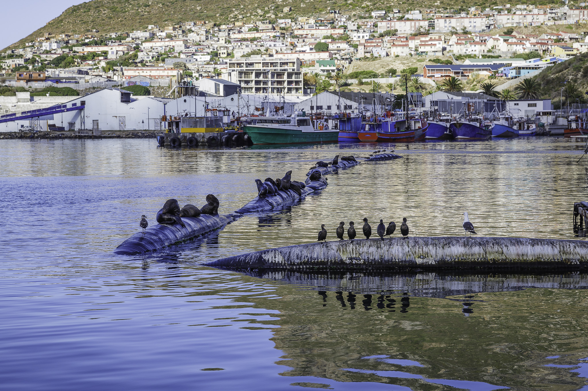 Cape-Town-Hout-Bay-C-48.jpg