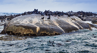 Cape-Town-Hout-Bay-C-26.jpg