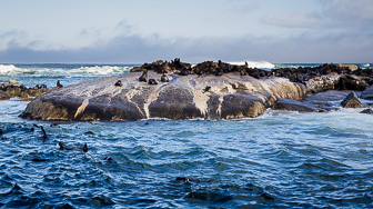 Cape-Town-Hout-Bay-C-40.jpg