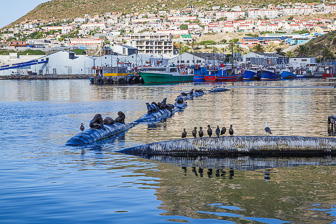 Cape-Town-Hout-Bay-C-48.jpg