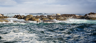 Cape-Point-Hout Bay Cape-Point-Hout Bay