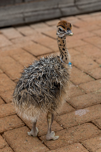 Cape-Point-SunValley