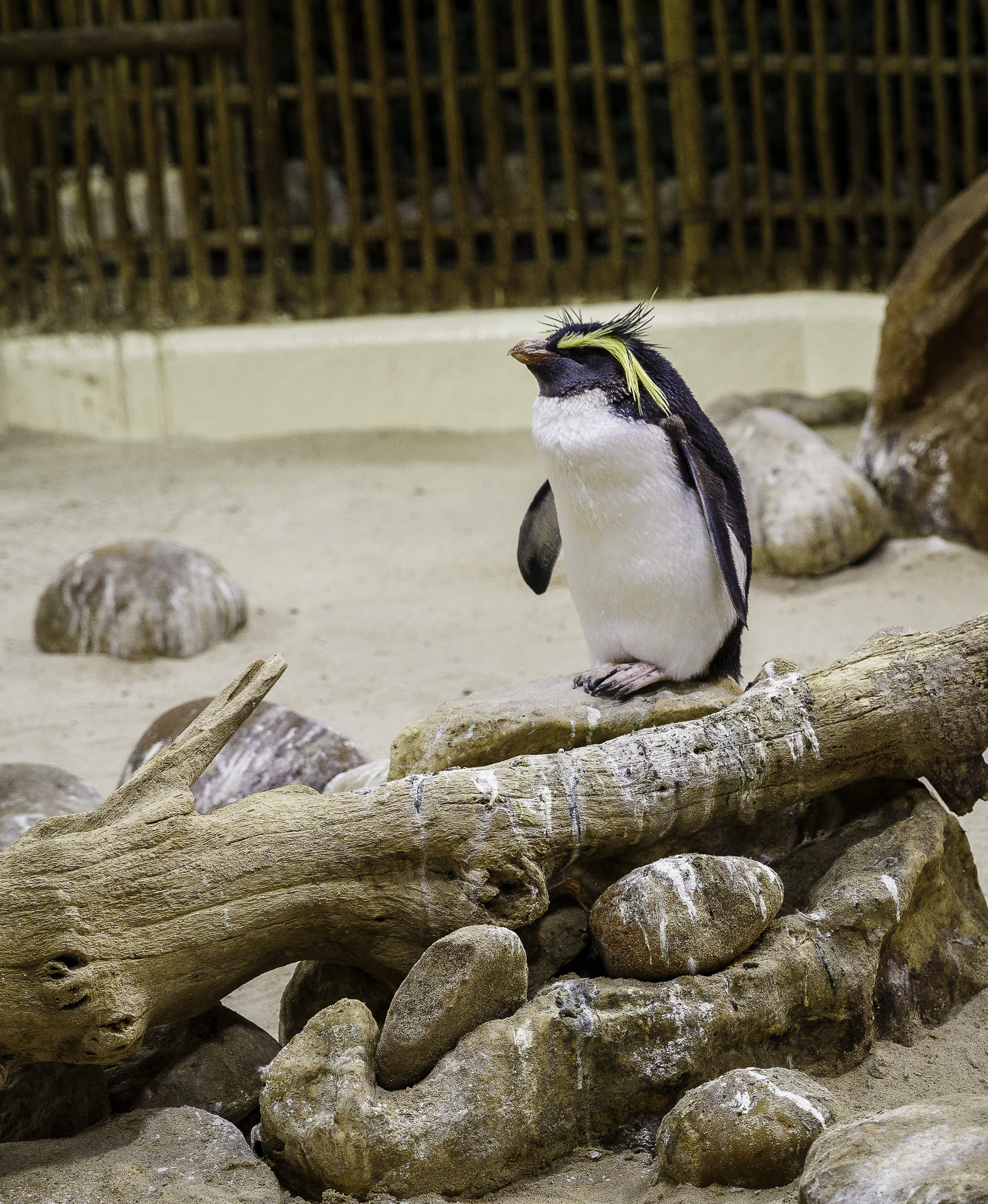 CapeTown-Aquarium-C-22.jpg