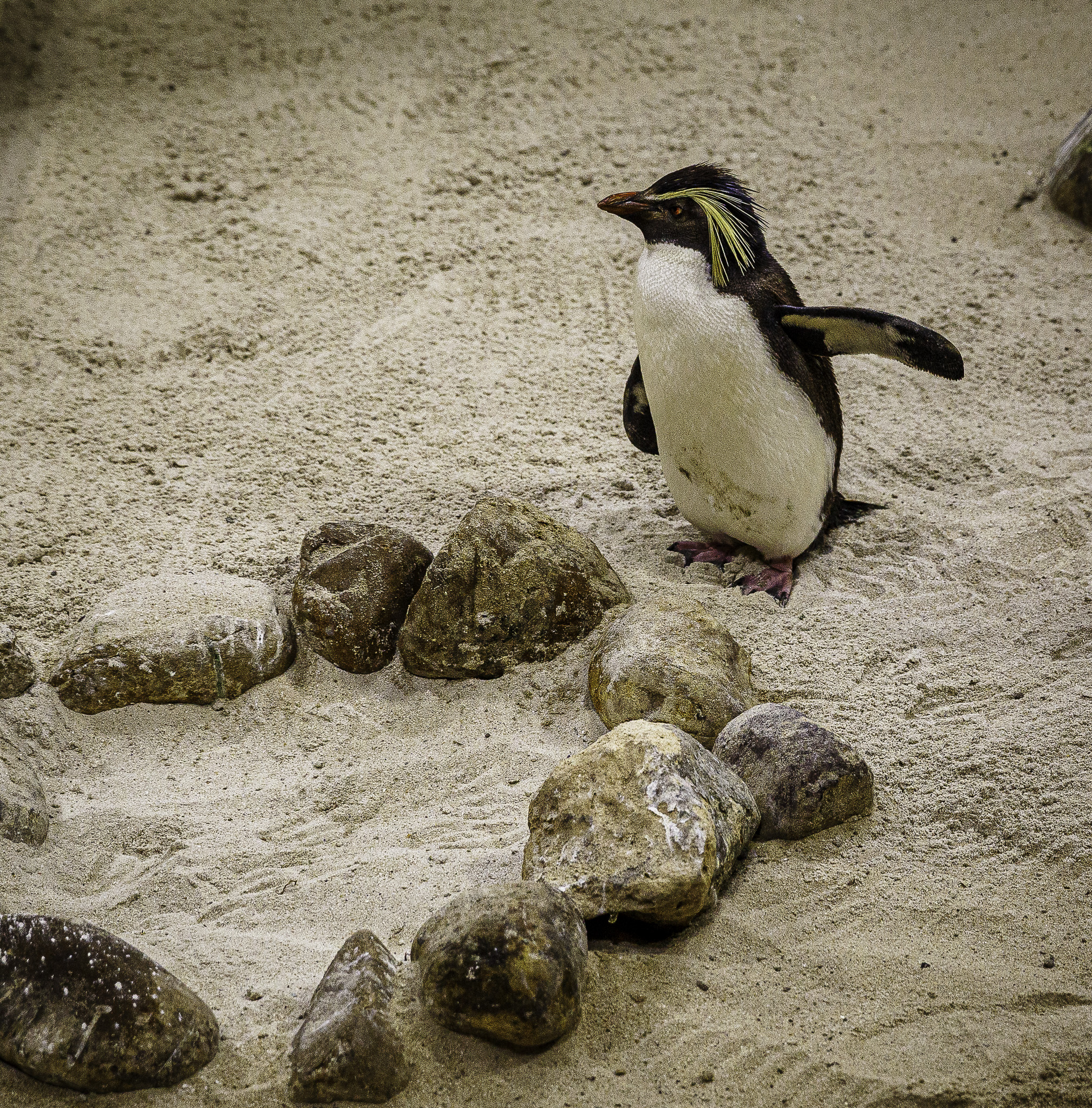 CapeTown-Aquarium-C-24.jpg