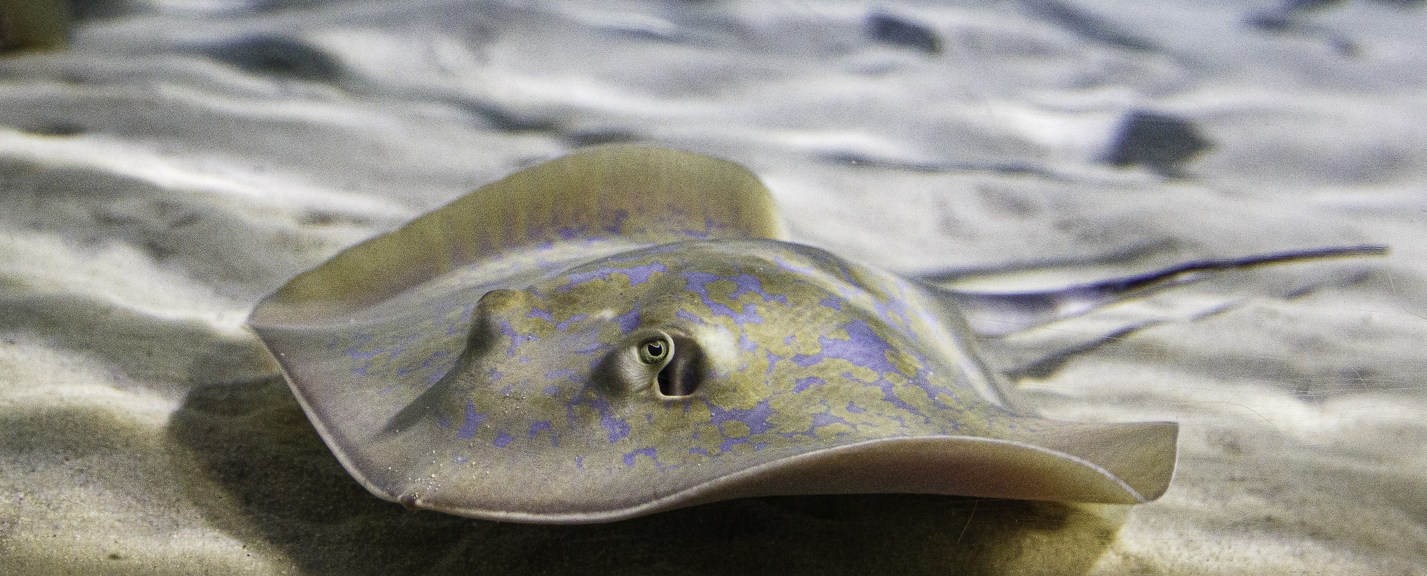 CapeTown-Aquarium-C-26.jpg