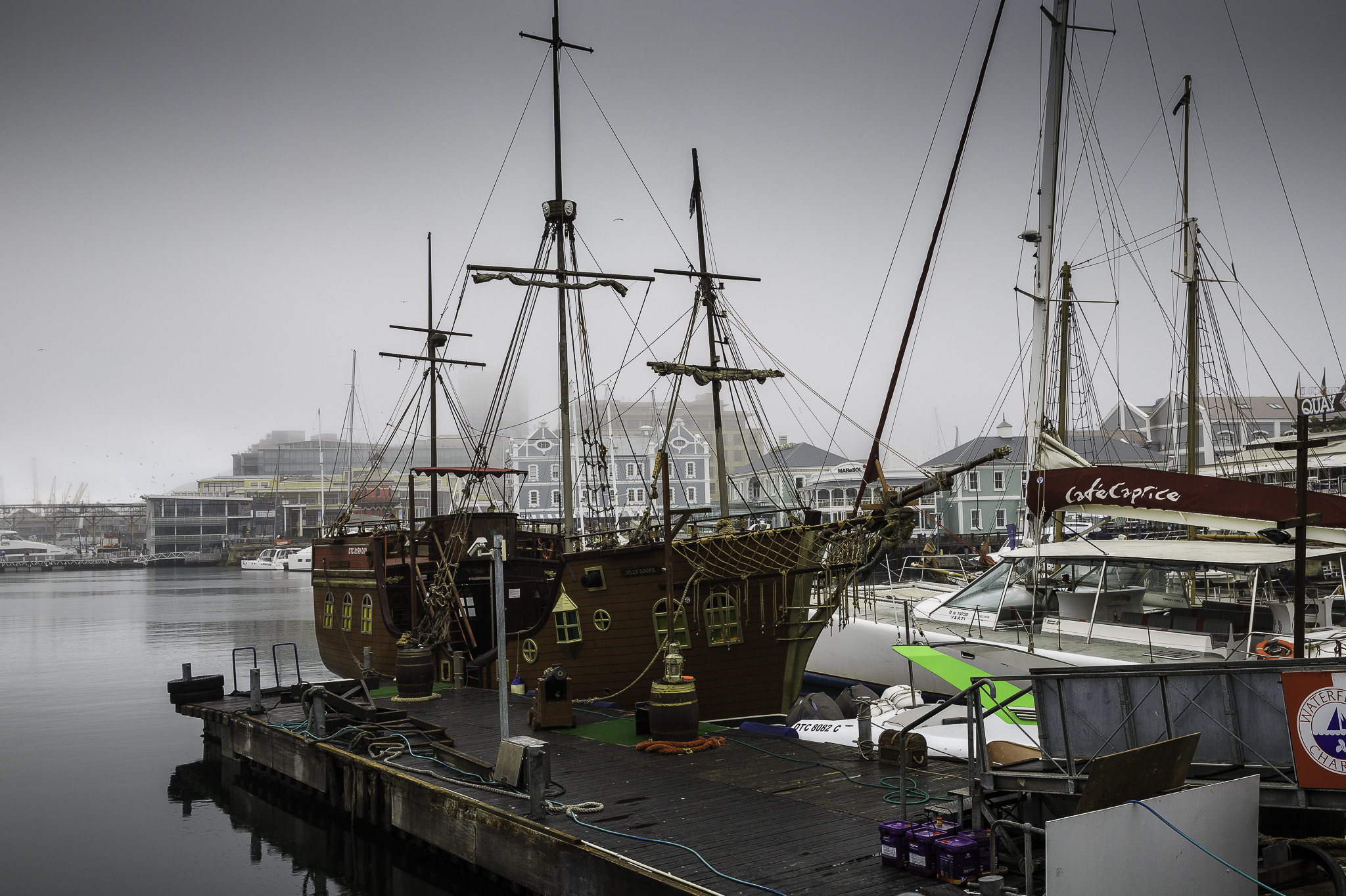 CapeTown-Aquarium-C-3.jpg