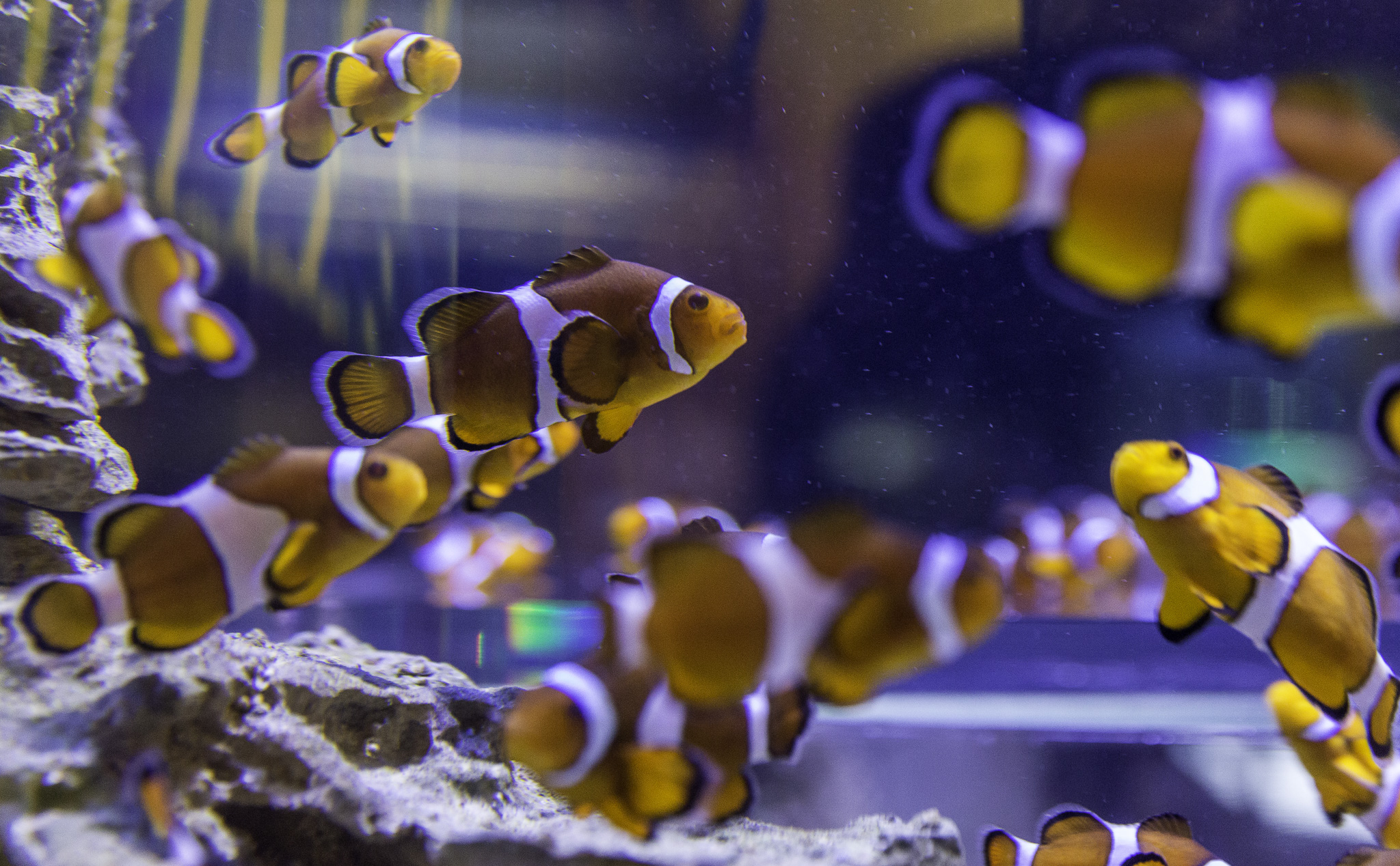 CapeTown-Aquarium-C-35.jpg