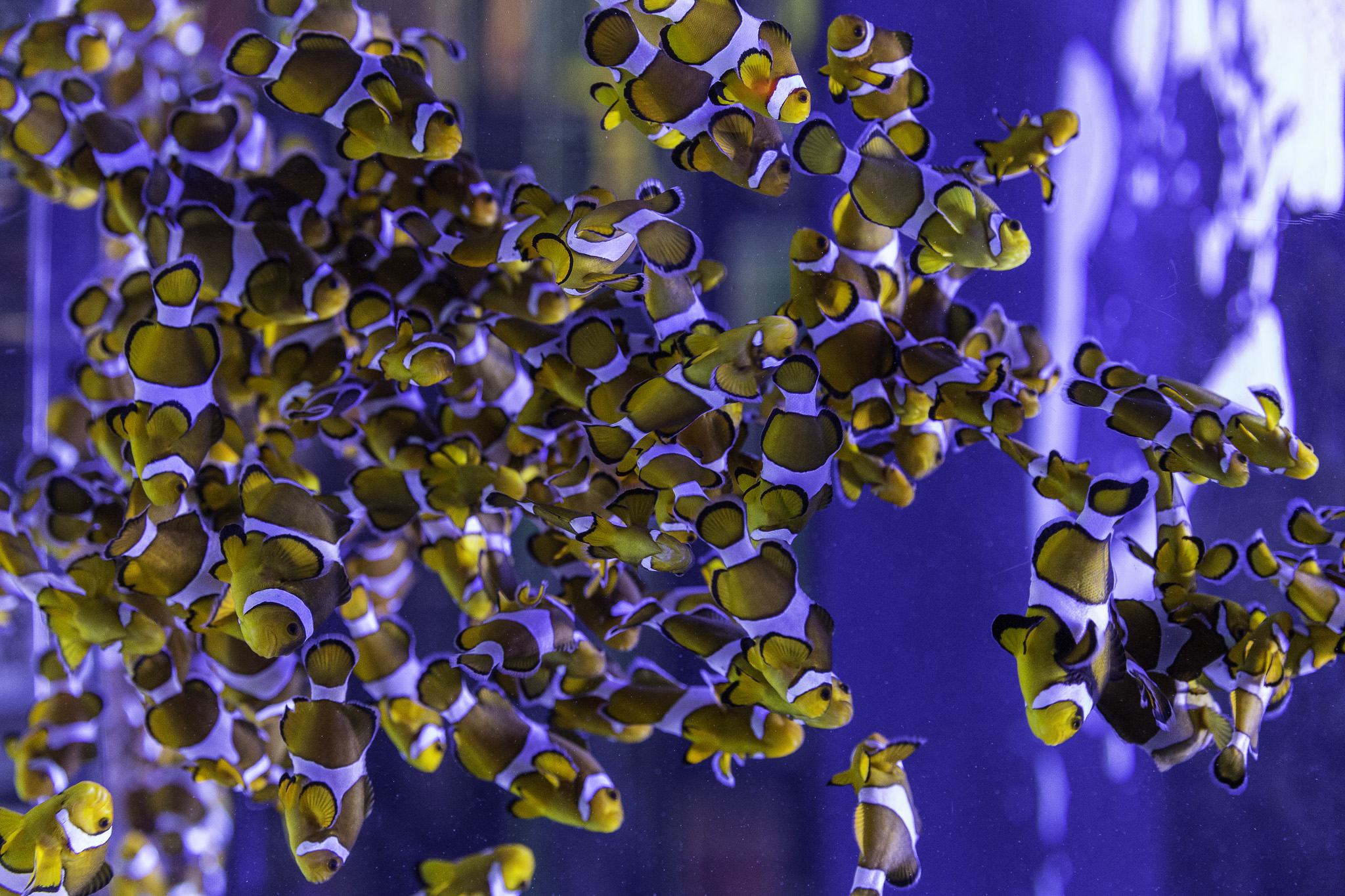 CapeTown-Aquarium-C-36.jpg