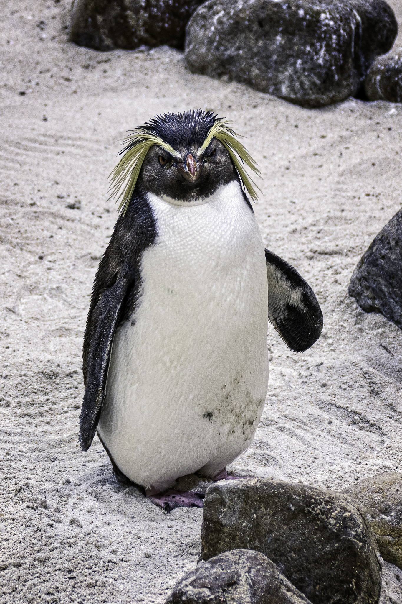 CapeTown-Aquarium-L-1-Modifier.jpg
