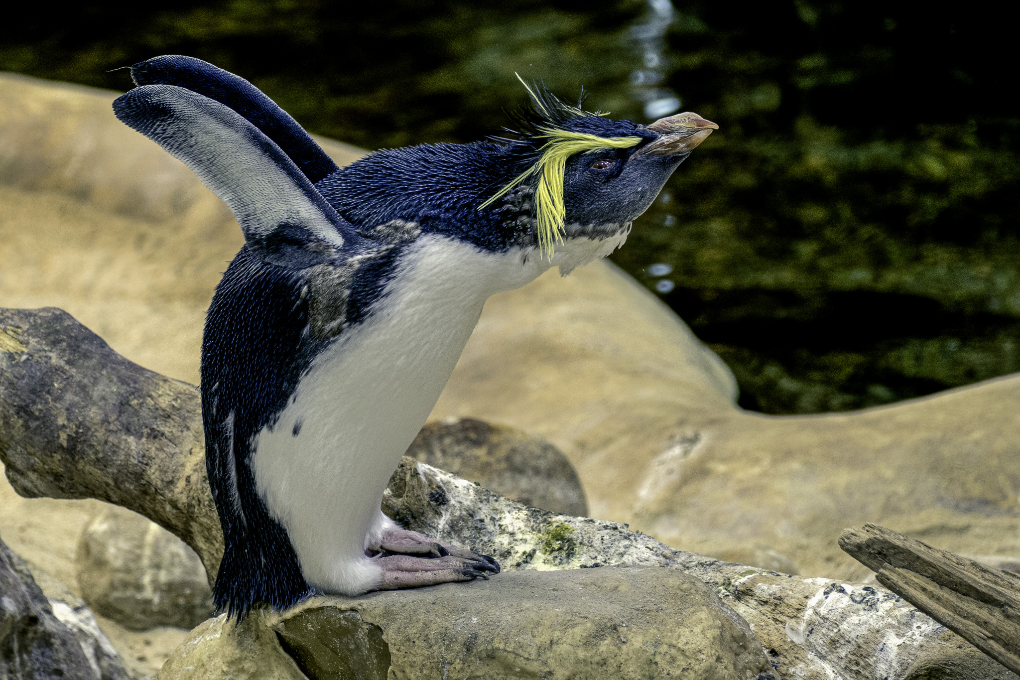 CapeTown-Aquarium-L-5.jpg