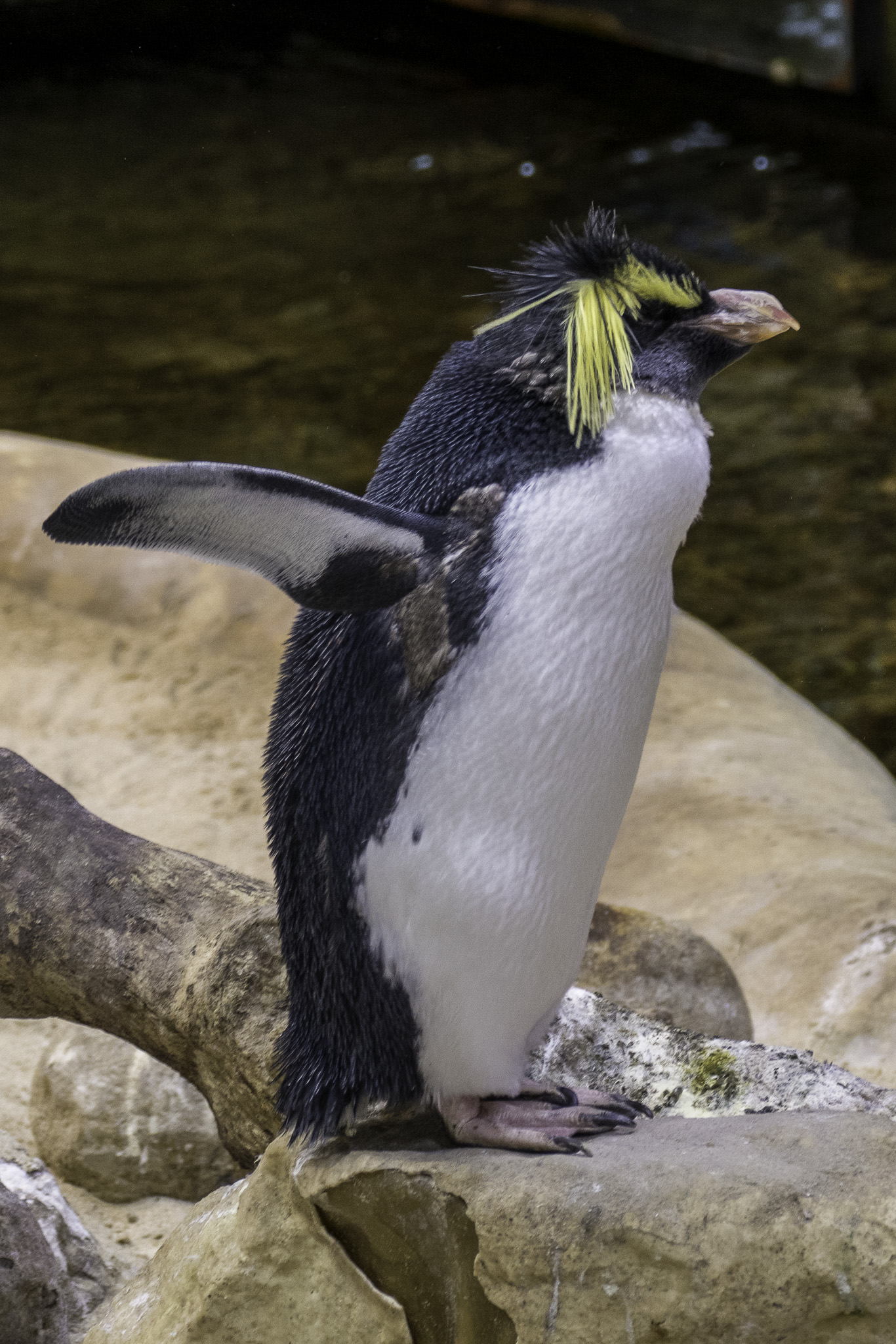 CapeTown-Aquarium-L-7.jpg