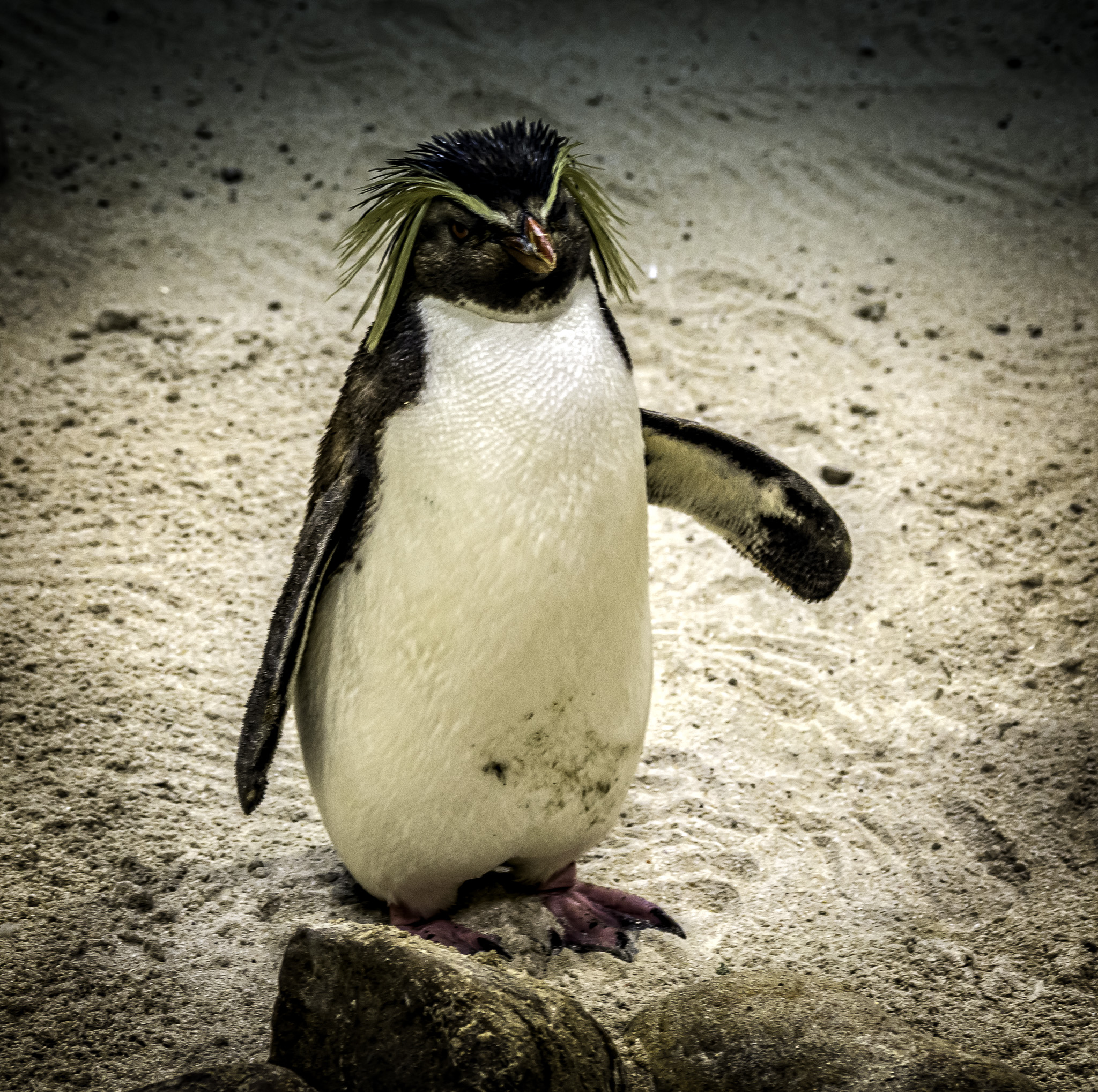 CapeTown-Aquarium-L-8.jpg