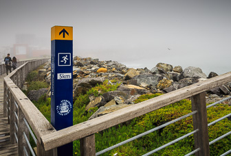 CapeTown-Aquarium-C-1.jpg