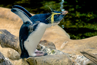 CapeTown-Aquarium-L-5.jpg