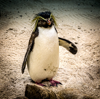 CapeTown-Aquarium-L-8.jpg