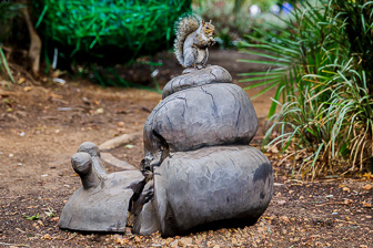 CapeTown-Cie-Garden-C-23.jpg