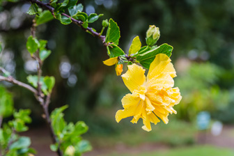 CapeTown-Cie-Garden-C-26.jpg