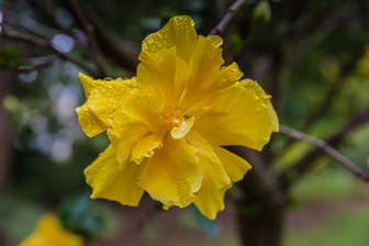 CapeTown-Cie-Garden-C-27.jpg