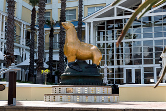 Cape Town City Cape Town City