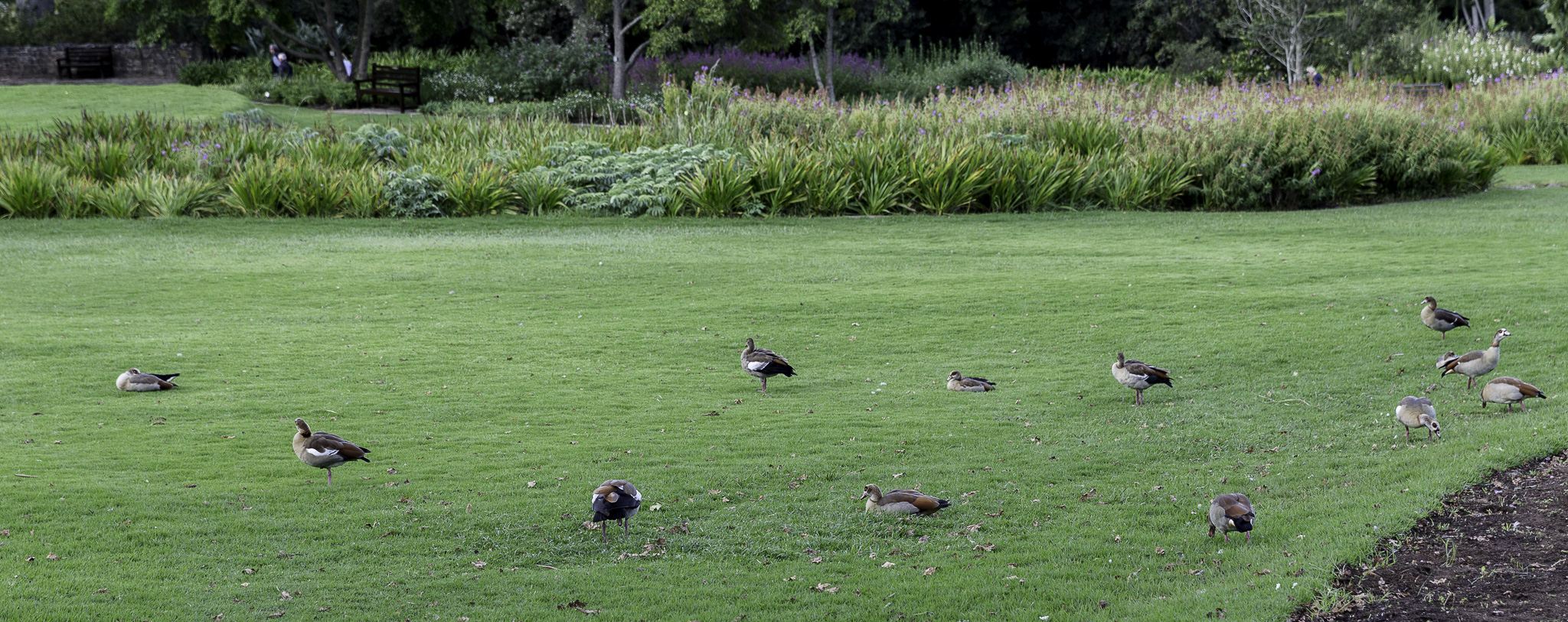 CapeTown-Kirstenbosch-C-21.jpg
